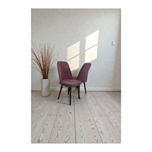Hasa 2 Adet Sandalye – Ahşap Ayaklı, Ergonomik, Rahat Oturumlu Modern Mutfak Ve Yemek Sandalyesi Pembe