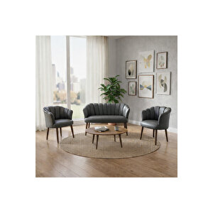 Papatya Deri Berjer Takımı | 2 Tekli + 1 İkili Koltuk | Balkon Ofis Kafe İçin | Demonte Ayaklı Gri̇