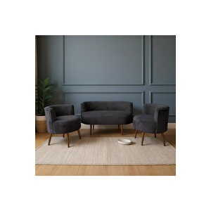 Sydney Modern Koltuk Takımı | Modern İskandinav Tarzı | Welsoft Yumuşak Kumaş | Antrasi̇t