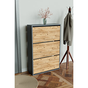 3 Bölmeli Liovian Düşer Kapak Ayakkabılık Antrasit