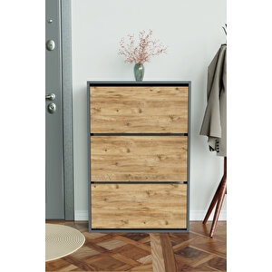 3 Bölmeli Liovian Düşer Kapak Ayakkabılık Antrasit