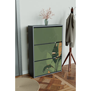 "green" 3 Bölmeli Liovian Düşer Kapak Ayakkabılık Antrasit