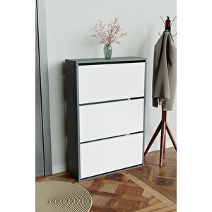 3 Bölmeli Liovian Düşer Kapak Ayakkabılık Antrasit