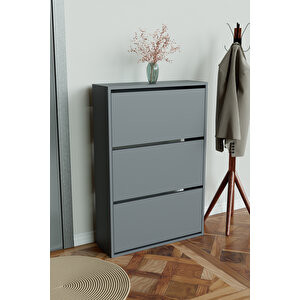 3 Bölmeli Liovian Düşer Kapak Ayakkabılık Antrasit