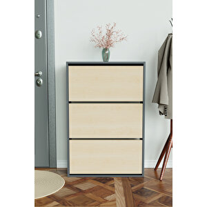 3 Bölmeli Liovian Düşer Kapak Ayakkabılık Antrasit