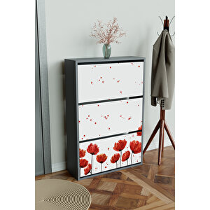 "red Anemone" 3 Bölmeli Liovian Düşer Kapak Ayakkabılık Antrasit