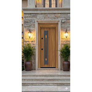 Antrasit Detaylı Modern Villa Kapısı (210x110)