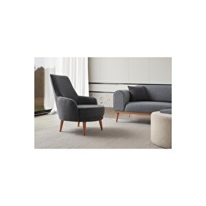 Paris 3+1 Koltuk Takımı Gri