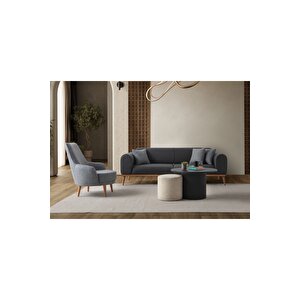 Paris 3+1 Koltuk Takımı Antrasit Antrasit