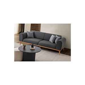 Paris 3+1 Koltuk Takımı Antrasit Antrasit