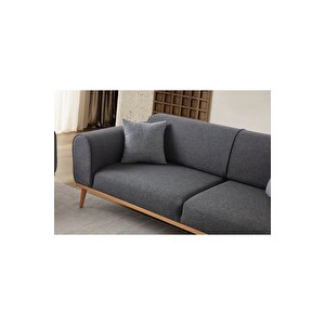 Paris 3+1 Koltuk Takımı Antrasit