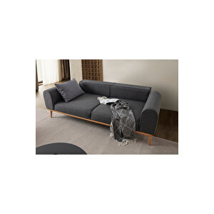 Paris 3+3+1+1  Koltuk Takımı Antrasit