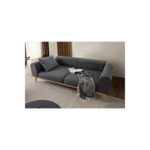 Paris 3+3 Koltuk Takımı Antrasit