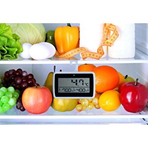 Oem Ys24 Alarmlı Mıknatıslı Buzdolabı Termometresi