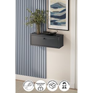 Duvara Monte Dresuar 2 Bölmeli Dresuar Kapaklı Konsol 50 Cm Antre Hol Duru Antrasit