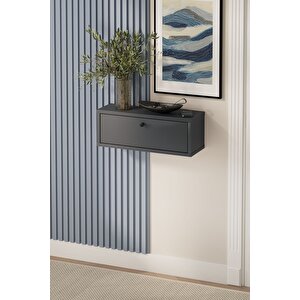 Duvara Monte Dresuar 2 Bölmeli Dresuar Kapaklı Konsol 50 Cm Antre Hol Duru Antrasit