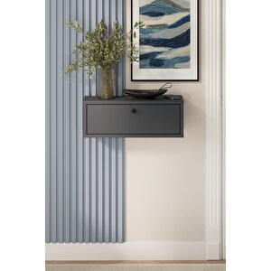 Duvara Monte Dresuar 2 Bölmeli Dresuar Kapaklı Konsol 50 Cm Antre Hol Duru Antrasit