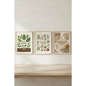 Doğal Yaşam Teması 3’lü Ahşap Çerçeveli Tablo Seti 50x70 cm