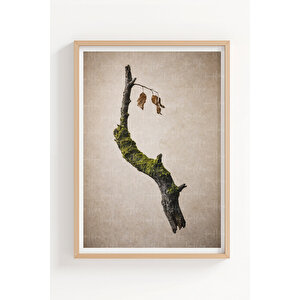 Wabi-sabi Dokular & Organik Objeler 3’lü Ahşap Çerçeveli Tablo Seti - Modern Duvar Dekoru 50x70 cm