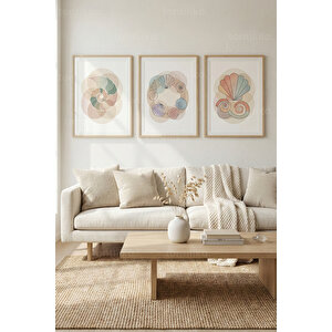 Pastel Deniz Kabuğu Motifleri 3’lü Ahşap Çerçeveli Tablo Seti - Salon Duvar Dekoru 50x70 cm