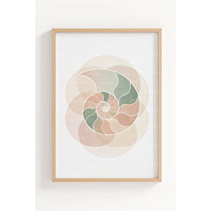 Pastel Deniz Kabuğu Motifleri 3’lü Ahşap Çerçeveli Tablo Seti - Salon Duvar Dekoru 50x70 cm