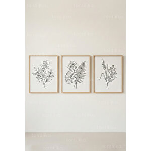 Minimal Botanik Çizgiler 3’lü Ahşap Çerçeveli Tablo Seti 50x70 cm