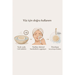 Kabak Lifli Lastikli Yüz Peeling Diski