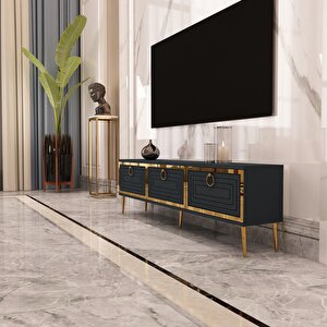 Palo Altın Tv Ünitesi Antrasit-Altın