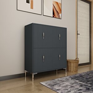 Lago Çok Amaçlı Ayakkabı Dolabı Antrasit-Gümüş Antrasit Gümüş