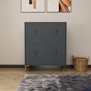 Lago Çok Amaçlı Ayakkabı Dolabı Antrasit-Altın Antrasit