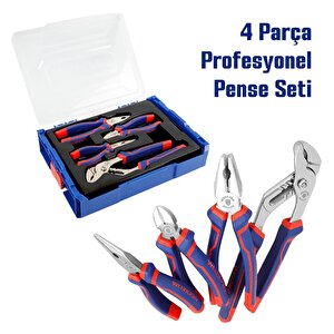 Wp209133 4 Parça Profesyonel Pense Seti