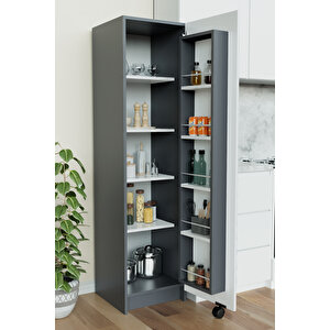 "zelvin" Tek Kapakli Raflı Kiler Dolabı Banyo Dolabı, Mutfak Dolabı Çok Amaçlı Dolap Antrasit