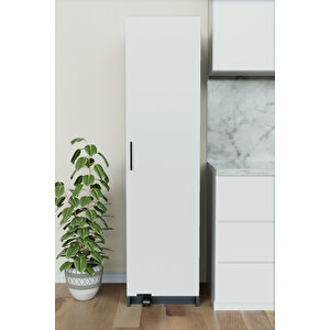 "zelvin" Tek Kapakli Raflı Kiler Dolabı Banyo Dolabı, Mutfak Dolabı Çok Amaçlı Dolap