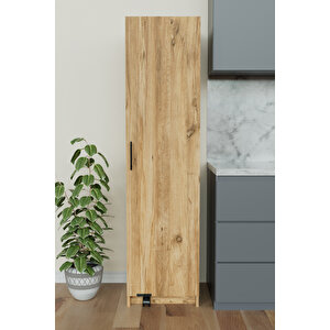 "zelvin" Tek Kapakli Raflı Kiler Dolabı Banyo Dolabı, Mutfak Dolabı Çok Amaçlı Dolap