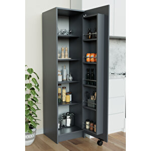 "zelvin" Tek Kapakli Raflı Kiler Dolabı Banyo Dolabı, Mutfak Dolabı Çok Amaçlı Dolap Antrasit