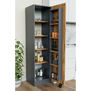 "zelvin" Tek Kapakli Raflı Kiler Dolabı Banyo Dolabı, Mutfak Dolabı Çok Amaçlı Dolap Antrasit