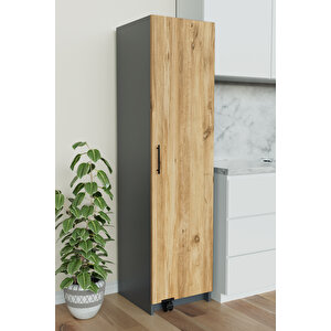 "zelvin" Tek Kapakli Raflı Kiler Dolabı Banyo Dolabı, Mutfak Dolabı Çok Amaçlı Dolap Antrasit