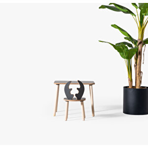 Montessori Çocuk Masası 1 Masa & 1 Antrasit Deer Sandalye