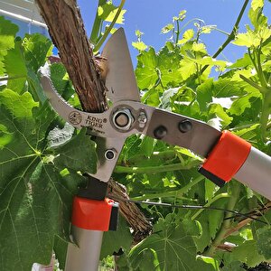 King Tiger Dal Budama Makası 100cm - Kt-72