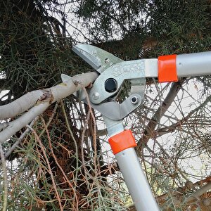 King Tiger Dal Budama Makası 100cm - Kt-62