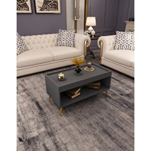 Sahra Raflı Orta Sehpa Antrasit Antrasit