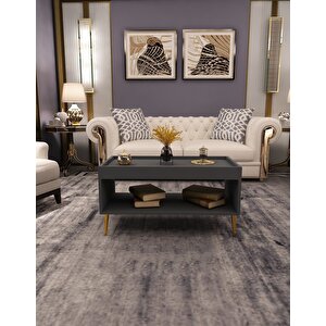 Sahra Raflı Orta Sehpa Antrasit Antrasit