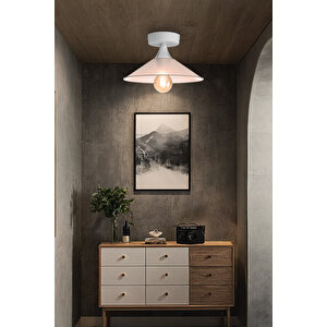 Maya 25'lik Şeffaf Plofonyer Avize