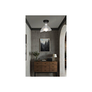 Tekli Şeffaf Plofonyer Yemek Odası Salon Mutfak Antre Yatak Odası Avize