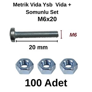 Tuğra Hirdavat M6x20mm Metrik Vida Ysb - Somunlu 100'lü Takım