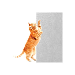 Sineklik Tamir Bandı 48mm X 2mt, Gri