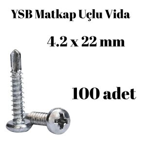 Yıldız Silindir Başlı 4.2x22 Ysb Matkap Uçlu Akıllı Vida 100 Adet