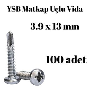 Yıldız Silindir Başlı 3.9x13 Ysb Matkap Uçlu Akıllı Vida 100 Adet