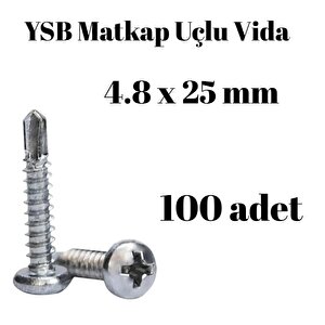 Yıldız Silindir Başlı 4.8x25 Ysb Matkap Uçlu Akıllı Vida 100 Adet
