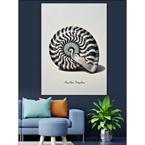 Spiral Deniz Kabuğu Formu Dekoratif Kanvas - Mdf Ahşap Tablo 100x140 cm
